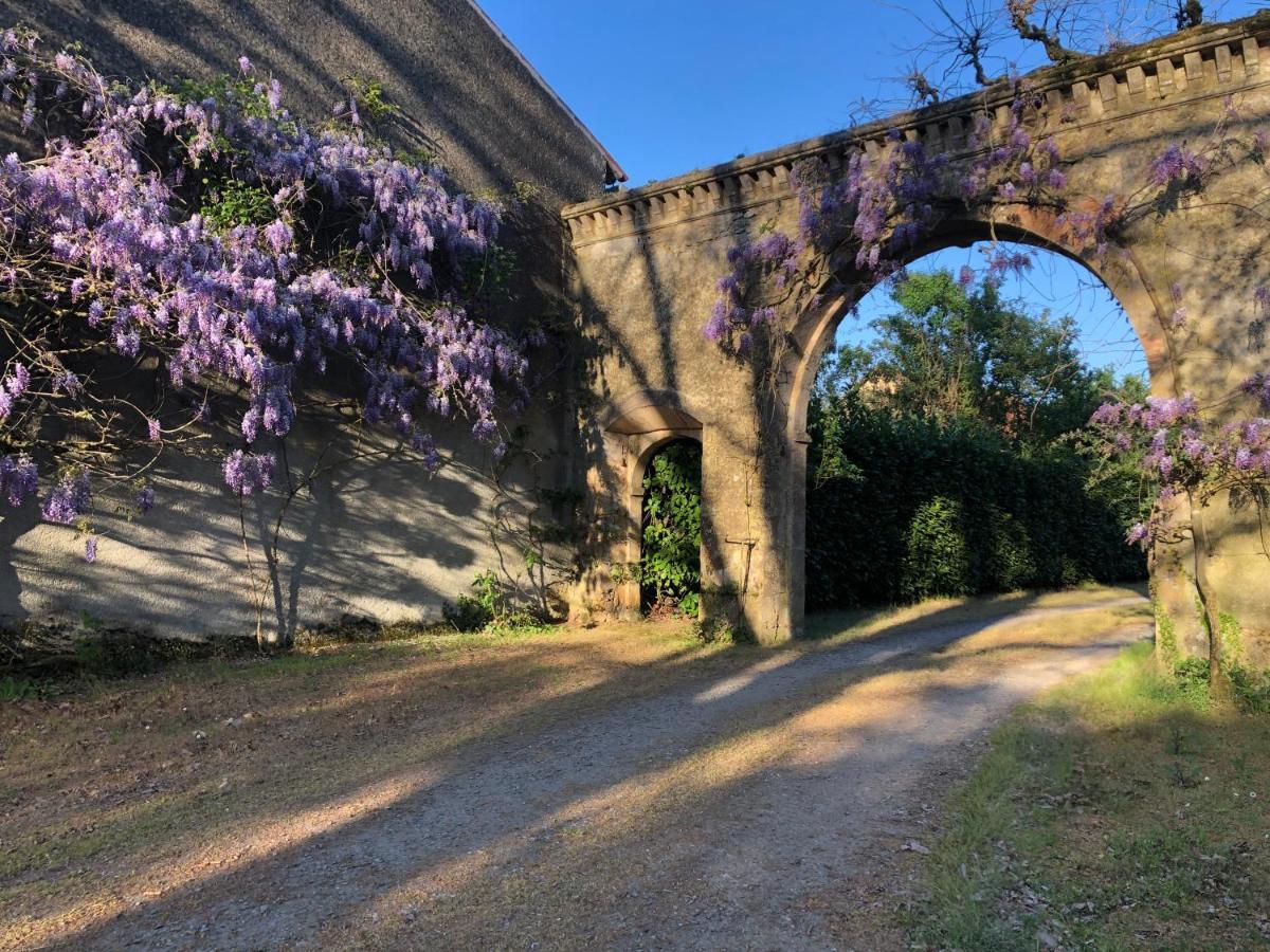 Chateau De La Mothe Saint-Sulpice-en-Pareds Luaran gambar